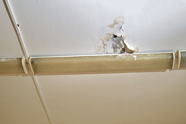 Water damage on a commercial ceiling from a roof leak.